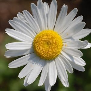 Meet your Posher, Breanne